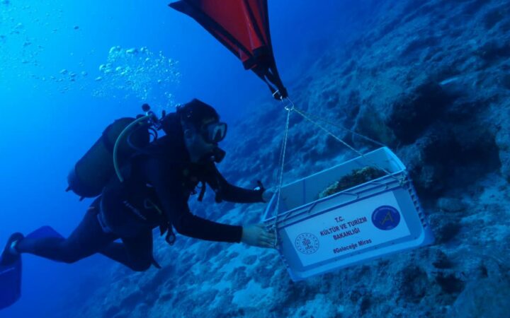 Naufrágio de 4.700 anos achado na costa da Turquia pode ser o mais antigo do mundo