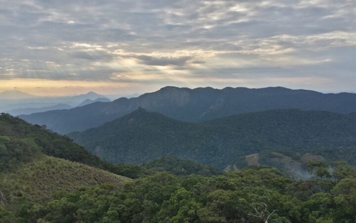 Moçambique protege a “floresta das borboletas”, com mais de 200 espécies no Monte Mabu