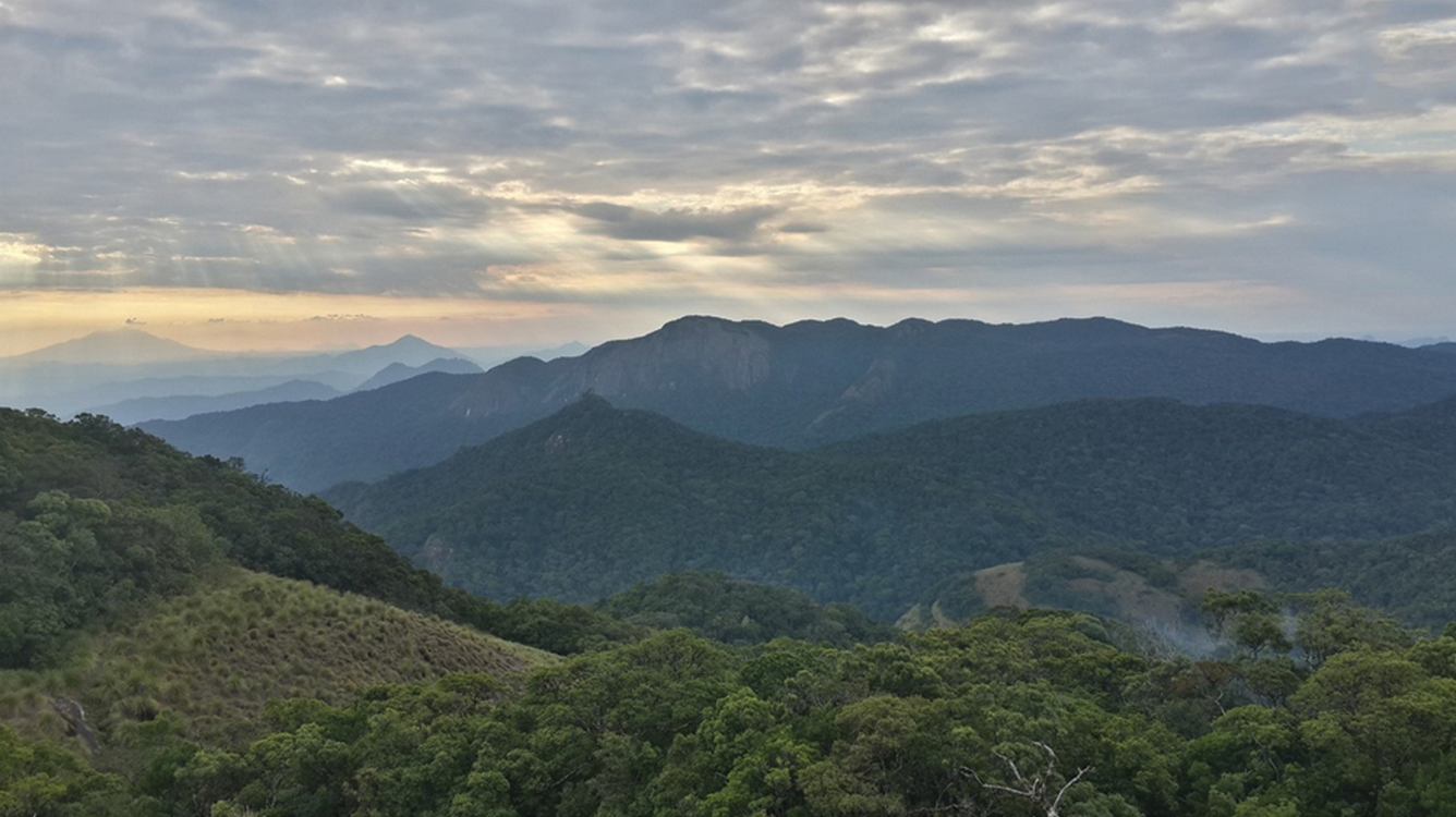 Moçambique protege a “floresta das borboletas”, com mais de 200 espécies no Monte Mabu